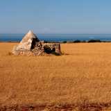 Il nostro viaggio inizia dalle frazioni a nord del centro. Superato il confine con Cozze, si apre un tratto di territorio praticamente disabitato, dove a dominare sono una serie di suggestivi trulli in pietra che risaltano su una distesa di terra rossa e colorati campi coltivati. 
� il cosiddetto �parco dei trulli�...(foto di Antonio Caradonna)